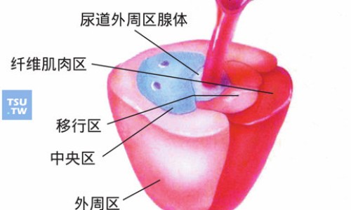最新前列腺癌骨转移治疗药物-前列癌骨转治疗效果网 - 前列腺癌骨转移治疗方案有哪些,前列腺癌骨转移治疗